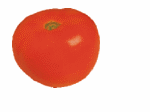 Tomato Feathering Tomato Feathering