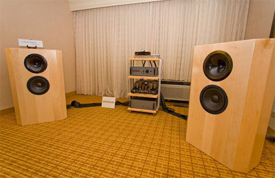 Audio Kinesis speakers