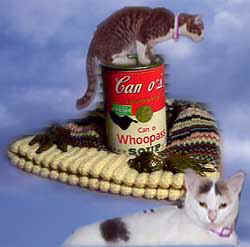 Spoof 1 (9071 bytes)